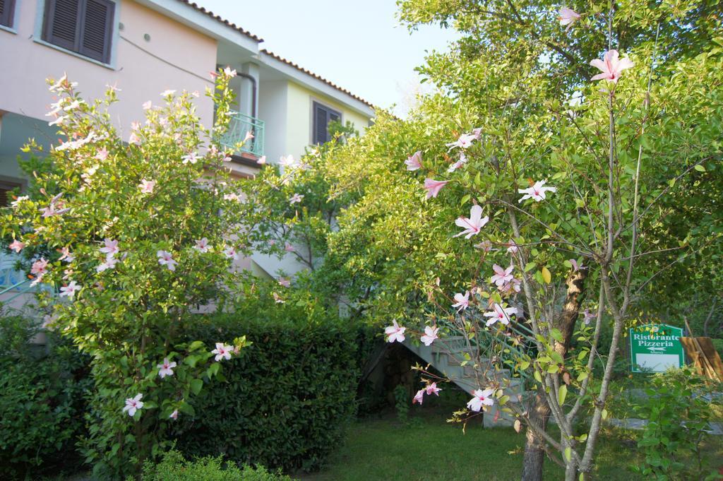 Appartamento Gli Ontani Cala Liberotto Quarto foto